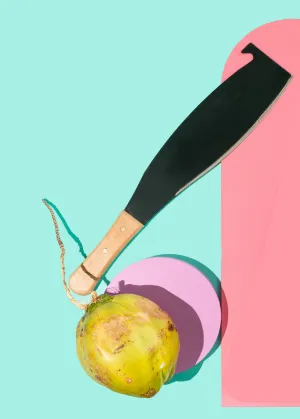 Cane Knife