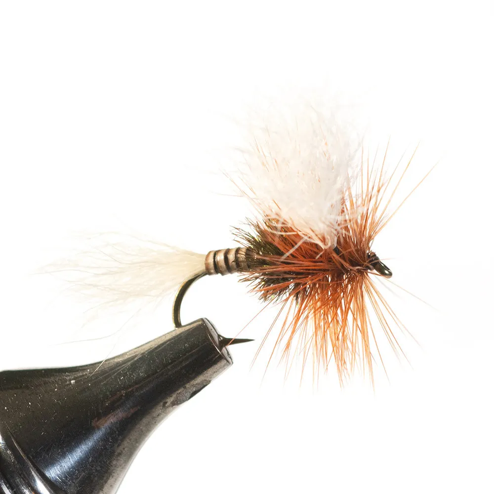H&L Variant