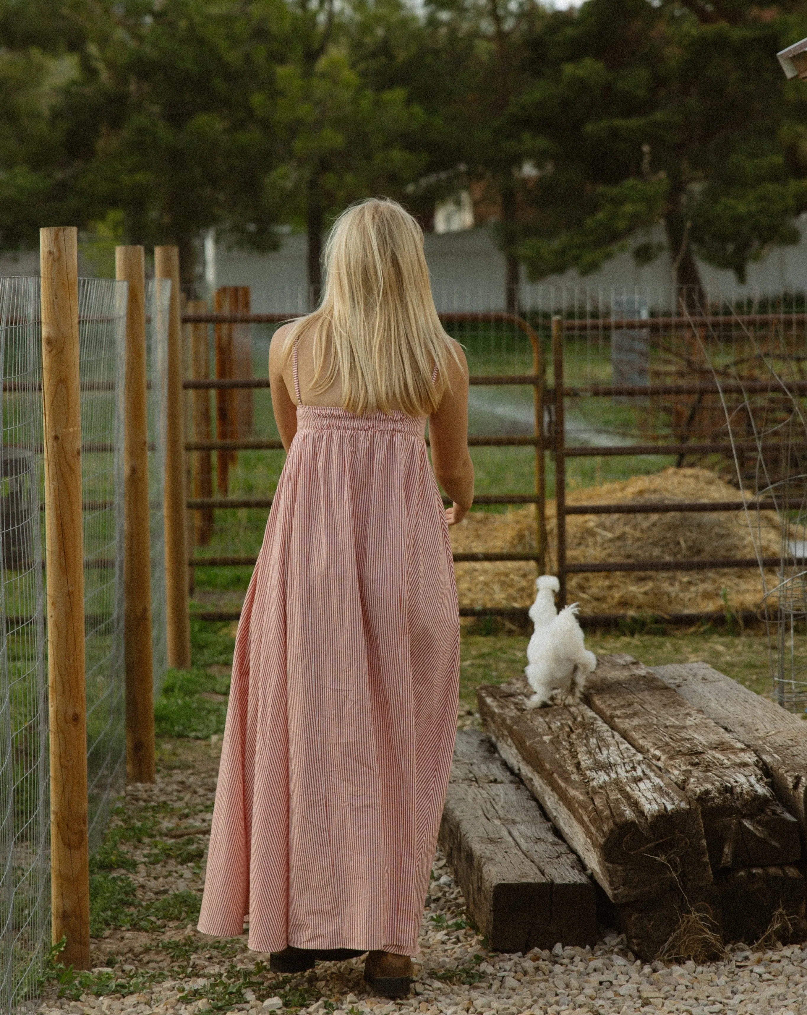 Picnic Dress