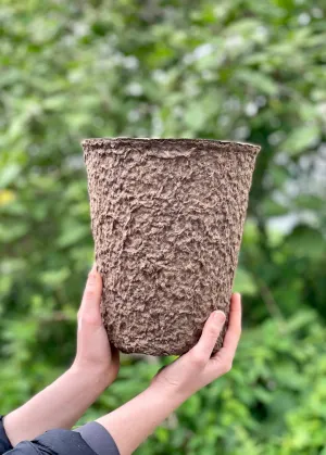 Western Pulp Pots, Round